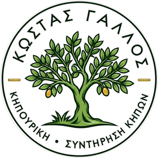 Κώστας Γάλλος